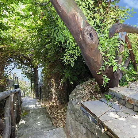 Villa - Ofelia *