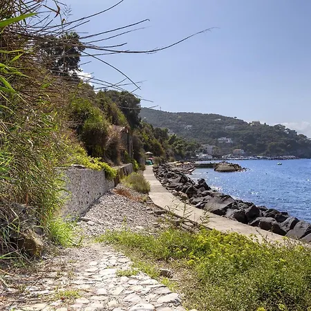 Villa - Ofelia