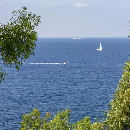 - Ofelia Villa