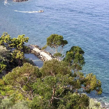 - Ofelia Villa Massa Lubrense