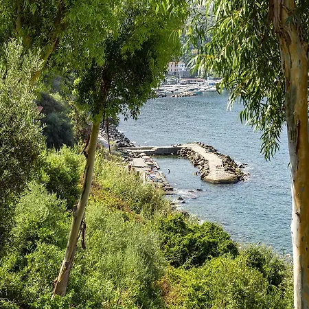 Villa - Ofelia